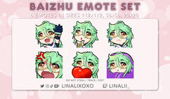 Genshin Impact Baizhu Emote Set